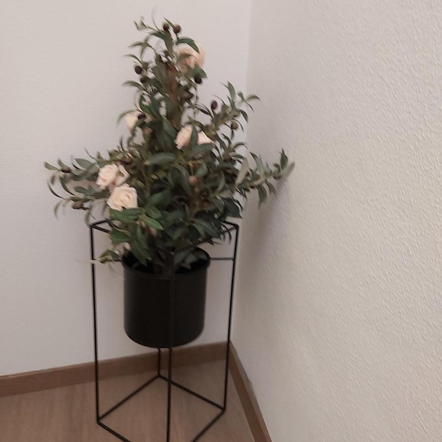 Kleine Altstadt Oase Appartement Verbandsgemeinde Verbandsgemeinde Bernkastel-Kues Buitenkant foto