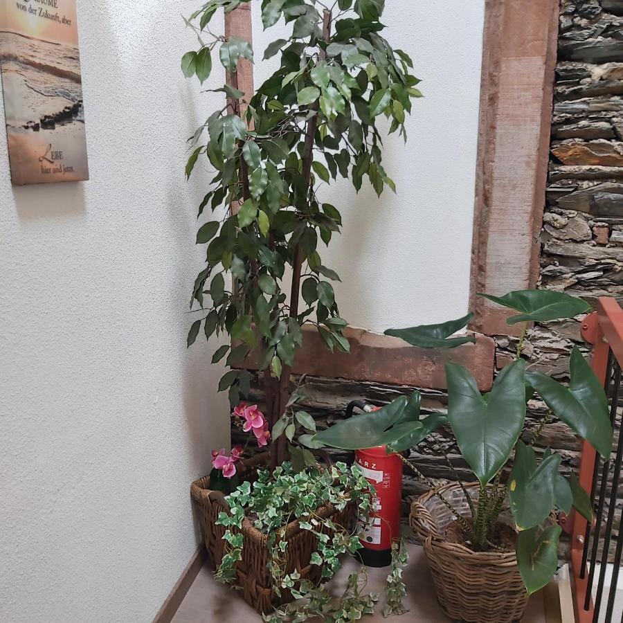 Kleine Altstadt Oase Appartement Verbandsgemeinde Verbandsgemeinde Bernkastel-Kues Buitenkant foto